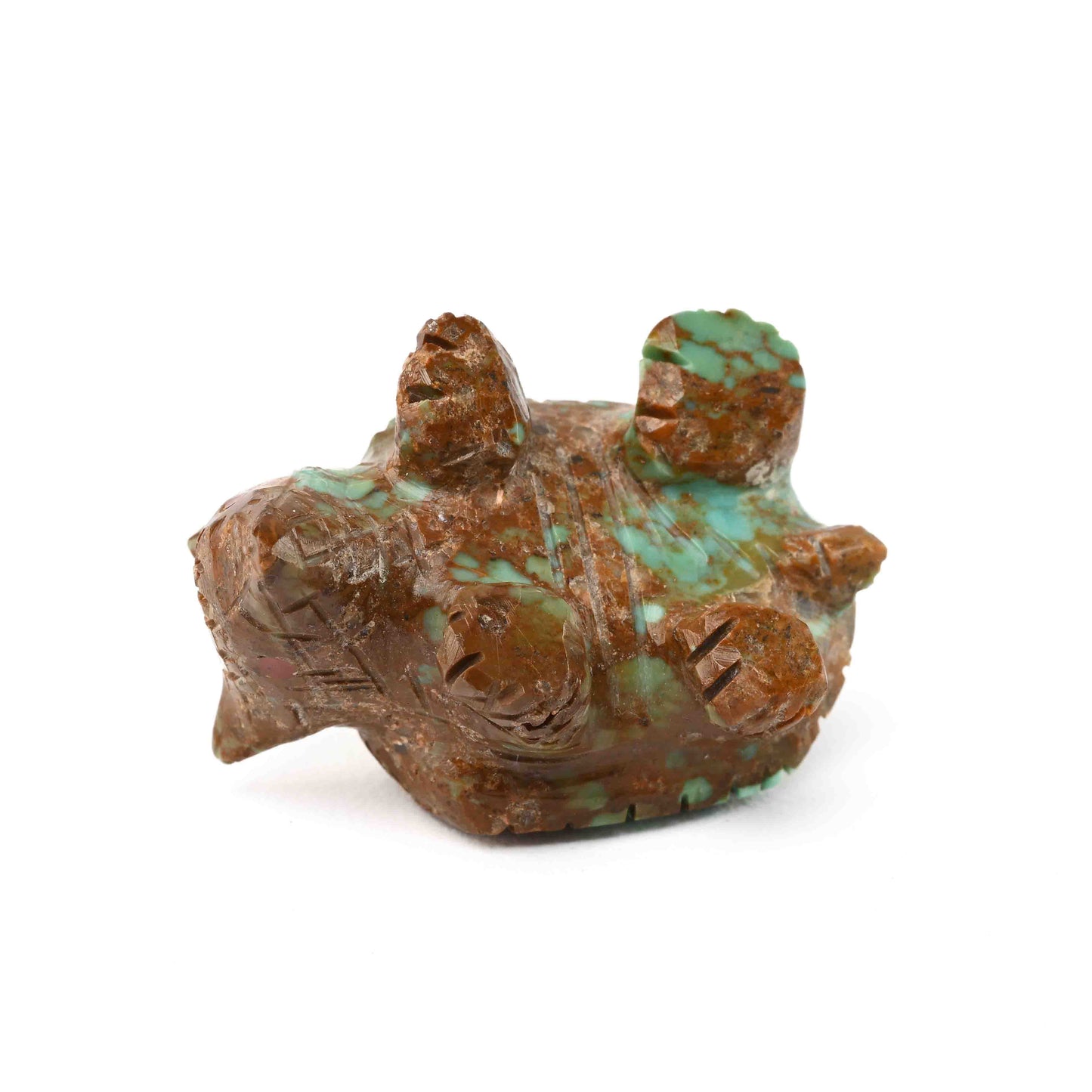 Armadillo fetish in Turquoise