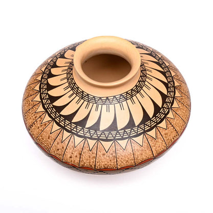 Hand-coiled pot with Feather Design