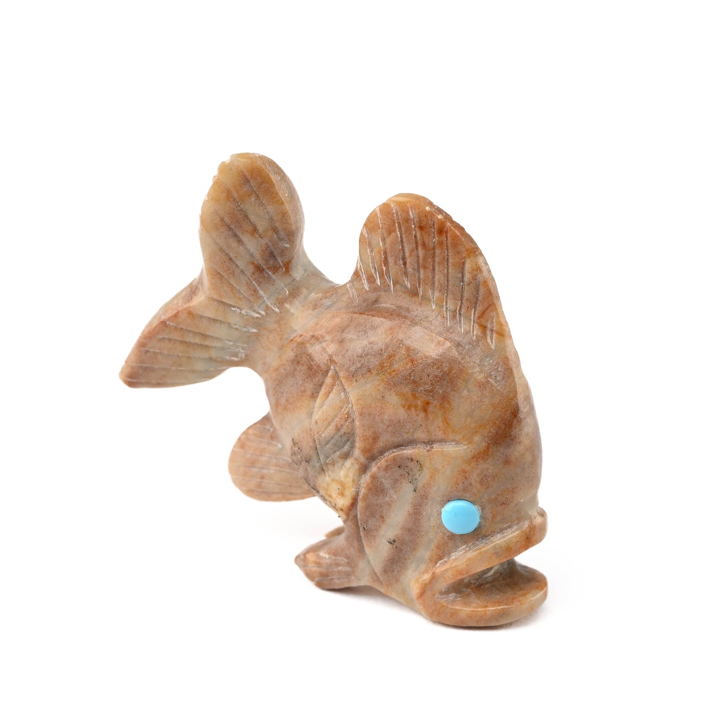 Fish Fetish