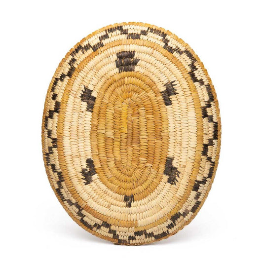 Turtle Pattern Coiled Tray