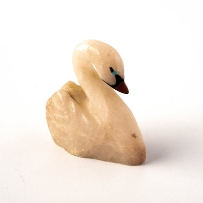 Swan fetish