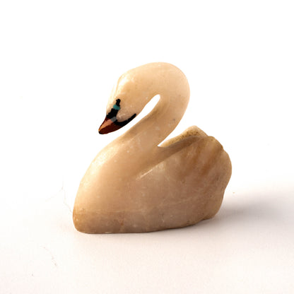 Swan fetish