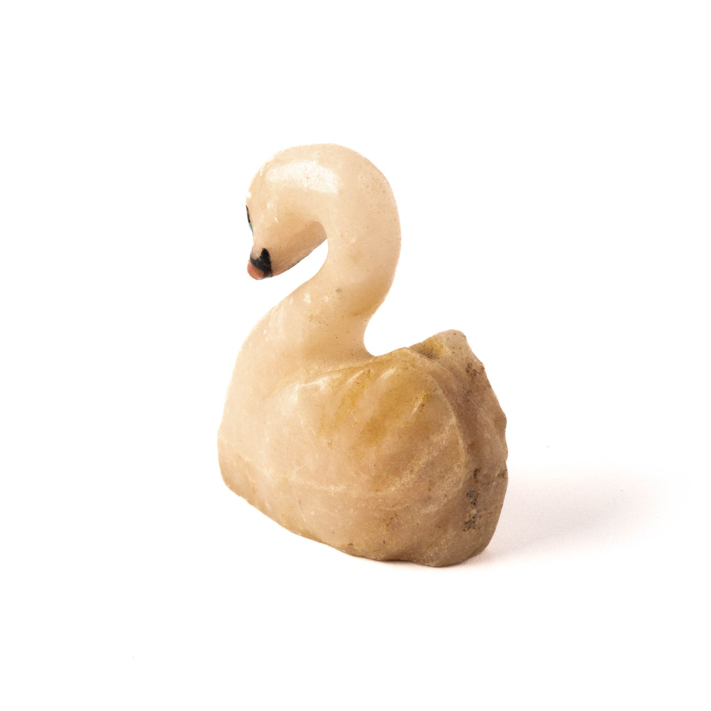 Swan fetish