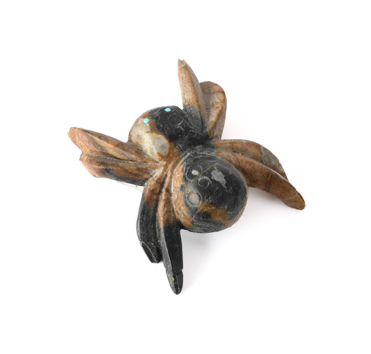 Tarantula fetish