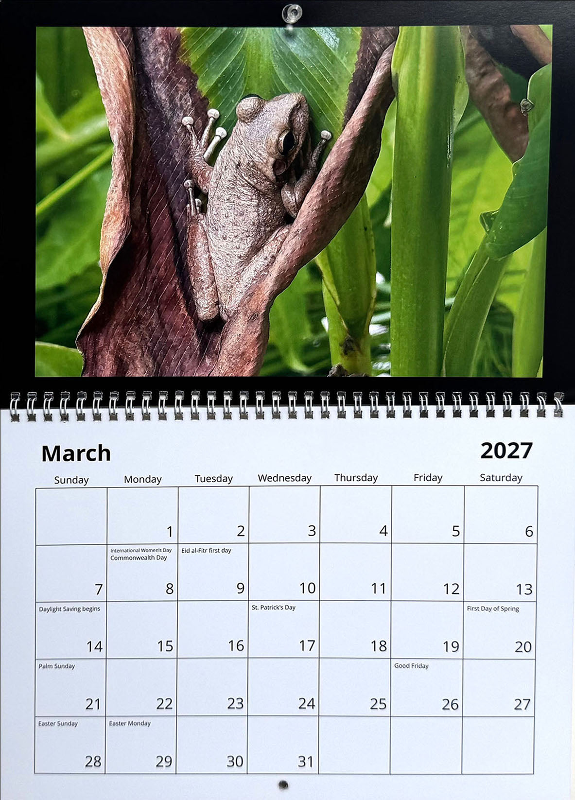 2027 Wall Calendar