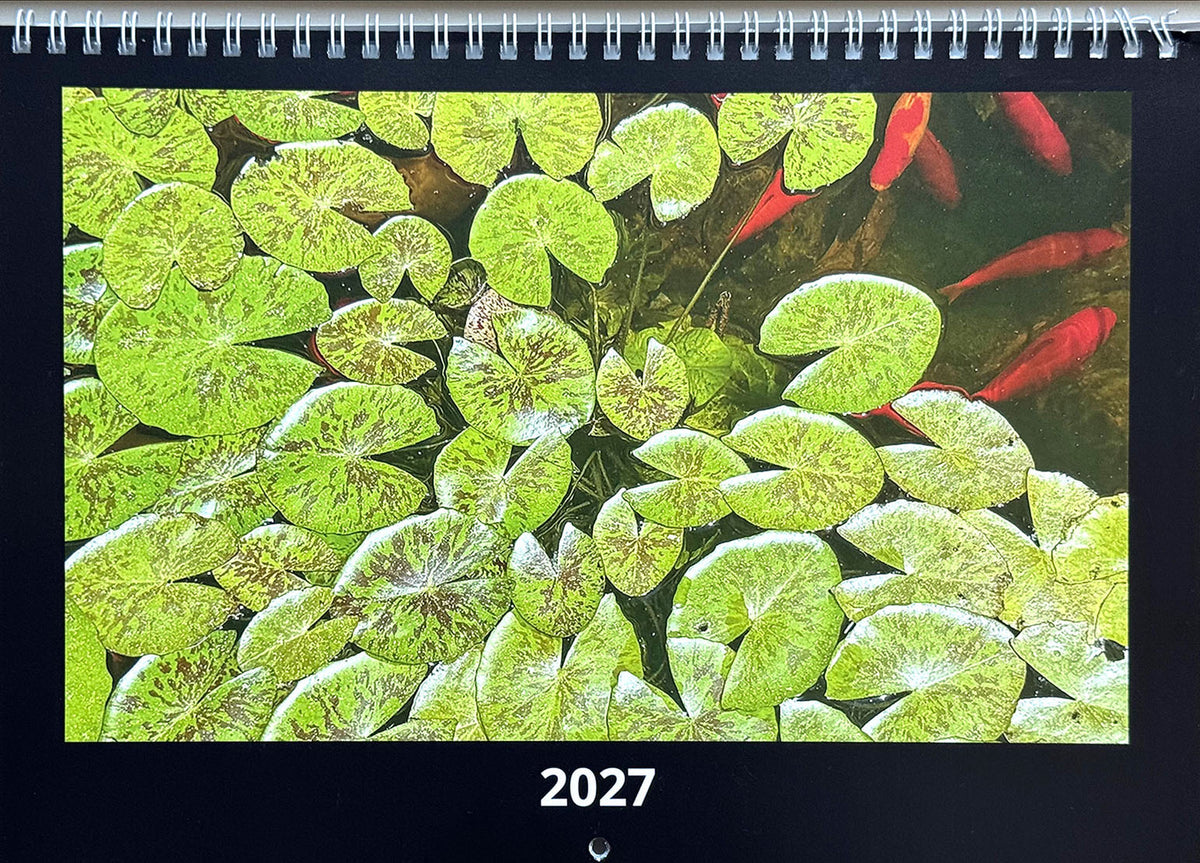 2027 Wall Calendar
